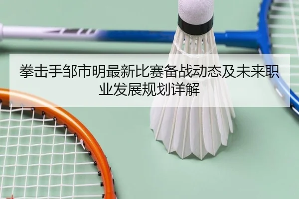 拳击手邹市明最新比赛备战动态及未来职业发展规划详解